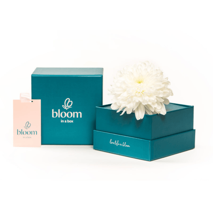 'The Support' Bloom